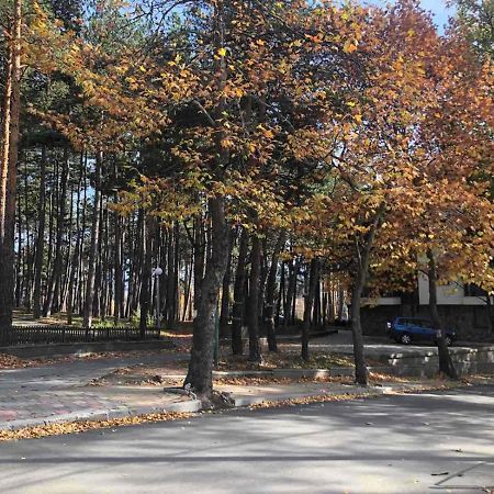 Borov Park 1 Apartment Velingrad Ngoại thất bức ảnh