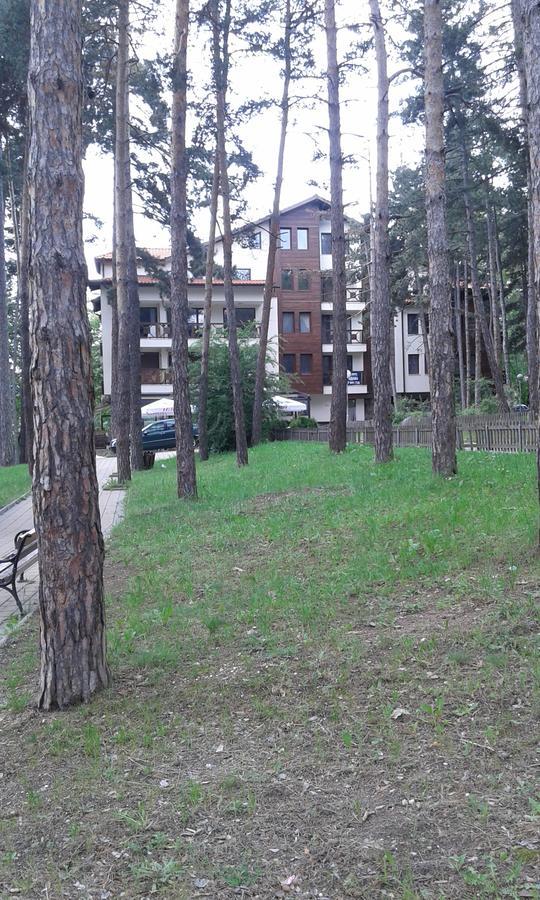 Borov Park 1 Apartment Velingrad Ngoại thất bức ảnh
