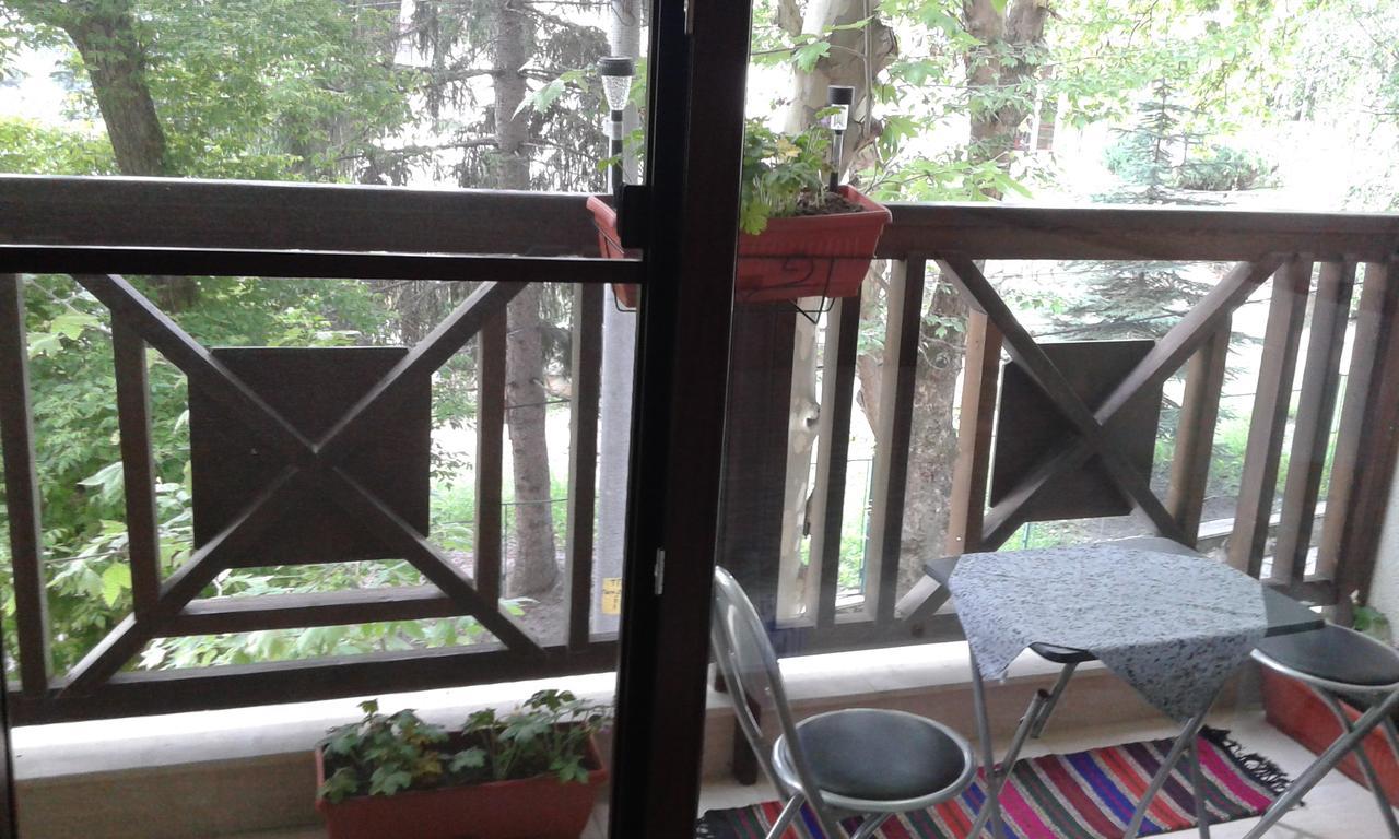 Borov Park 1 Apartment Velingrad Ngoại thất bức ảnh