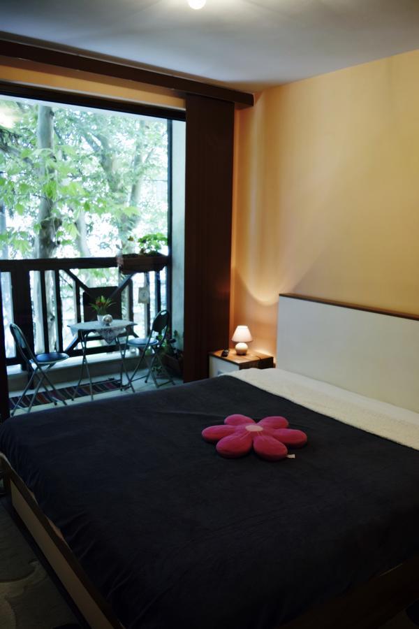 Borov Park 1 Apartment Velingrad Ngoại thất bức ảnh