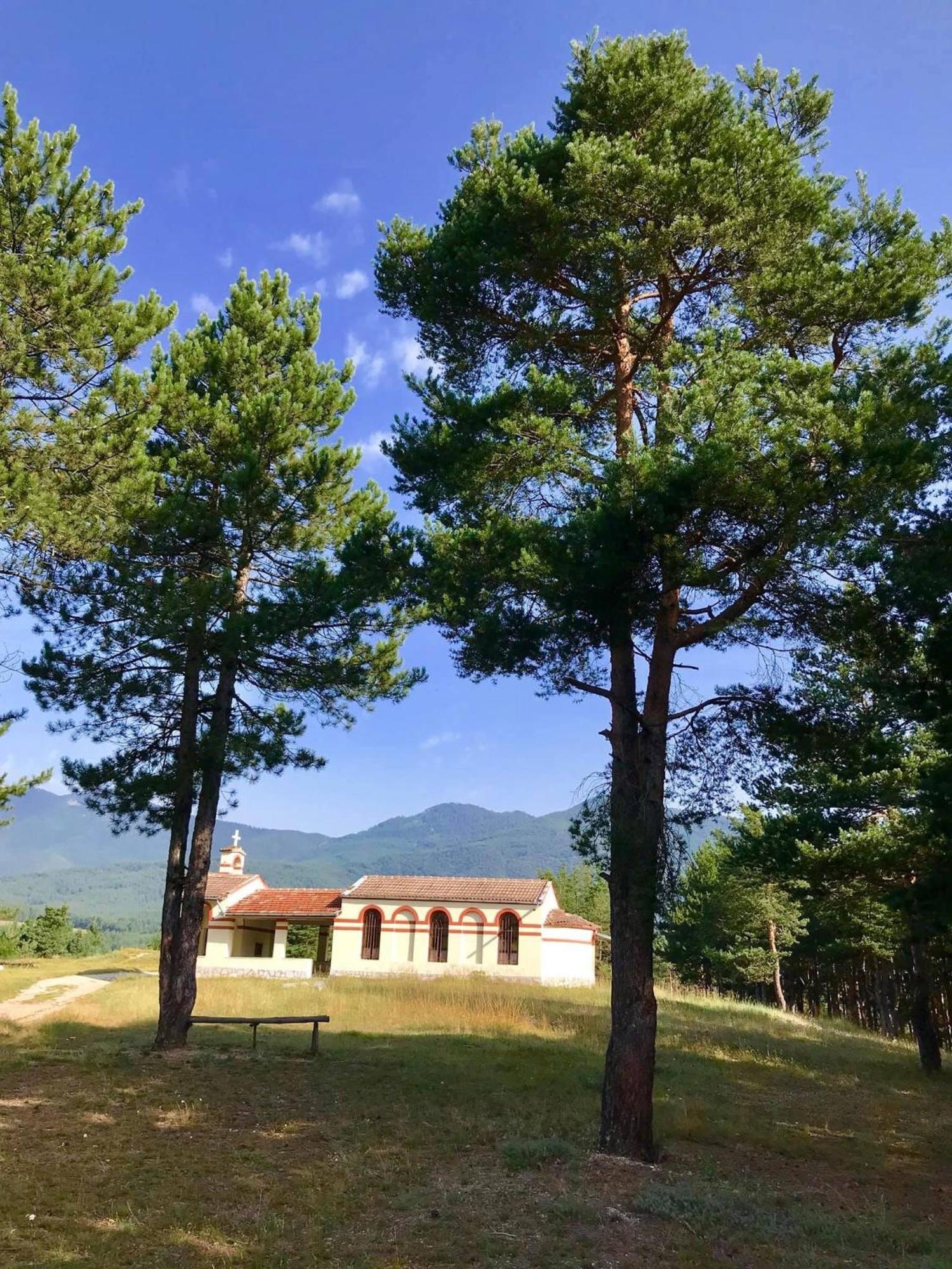 Borov Park 1 Apartment Velingrad Ngoại thất bức ảnh
