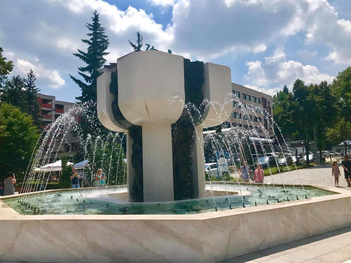 Borov Park 1 Apartment Velingrad Ngoại thất bức ảnh